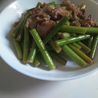 夏のスタミナ料理！にんにくの芽炒め